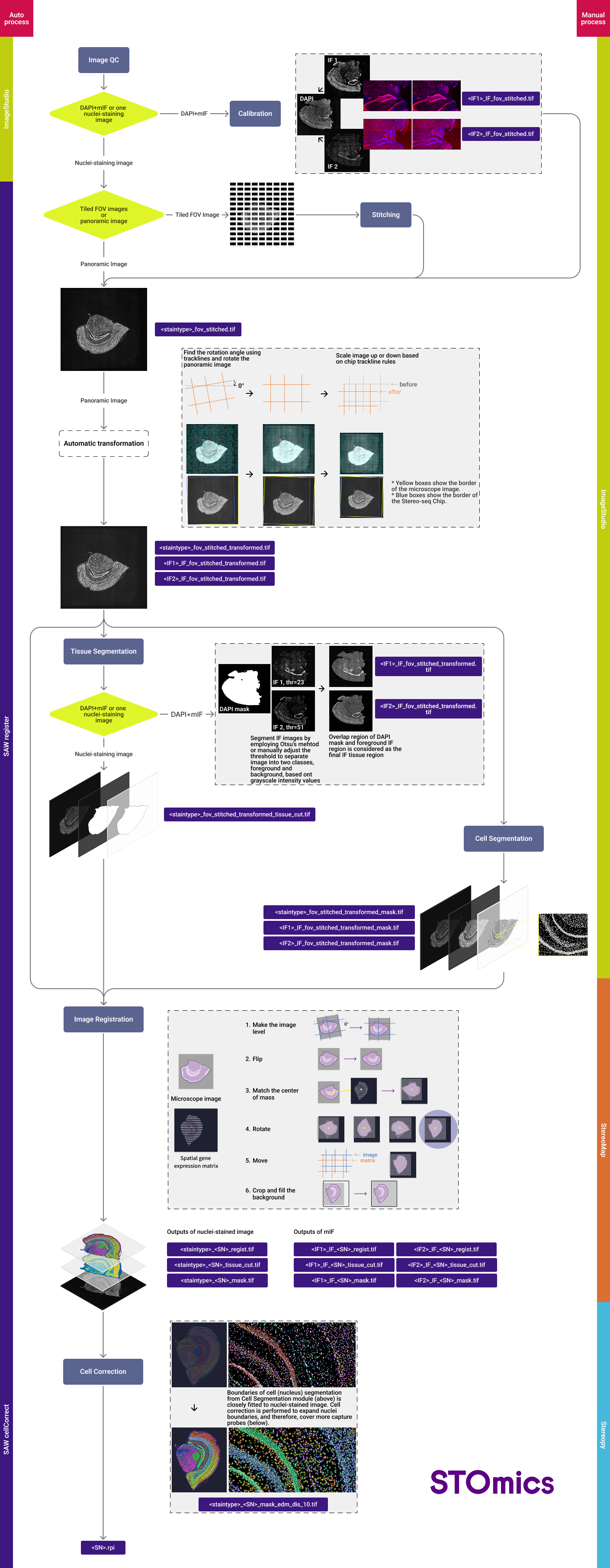 Stereo-seq_image_processing_overview_v1 (SAW <8.0)